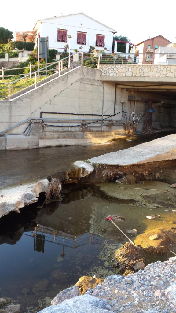 Rio Salivoli (Piombino) - rospi smeraldini in citt!